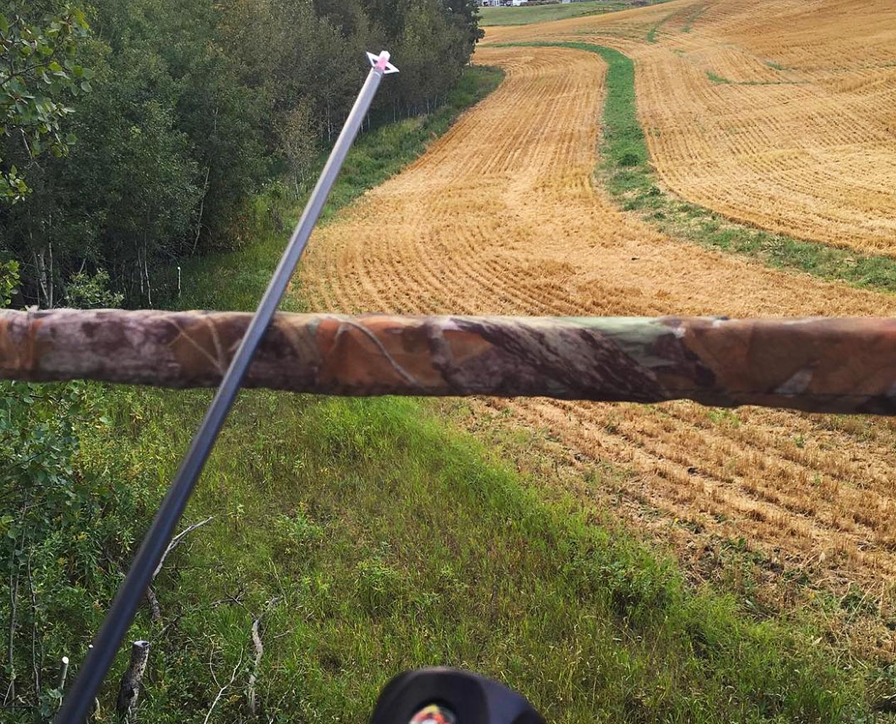 arrow point archery hunting